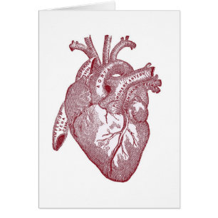 Red Vintage Anatomical Heart