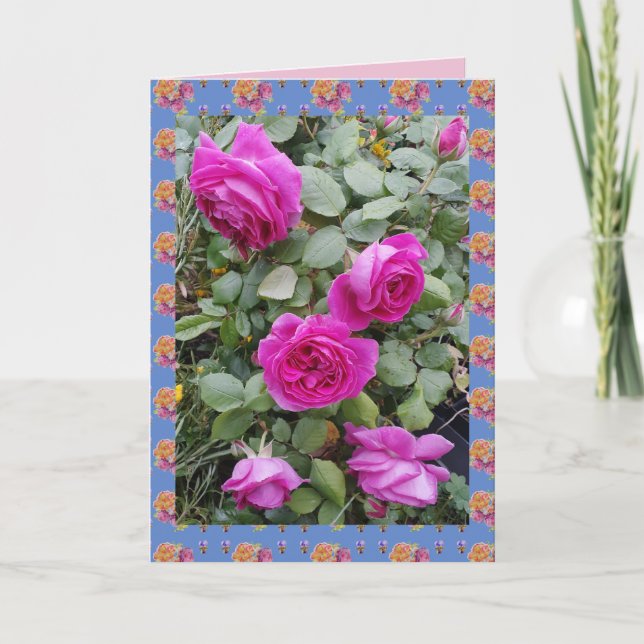 Red Vintage Roses Rose Garden flowers Card (Front)
