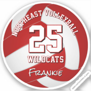 red volleyball team colours kids team name