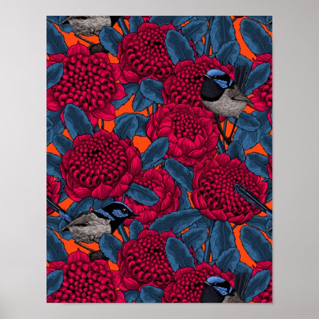 Red waratah and fairy wrens poster (Front)