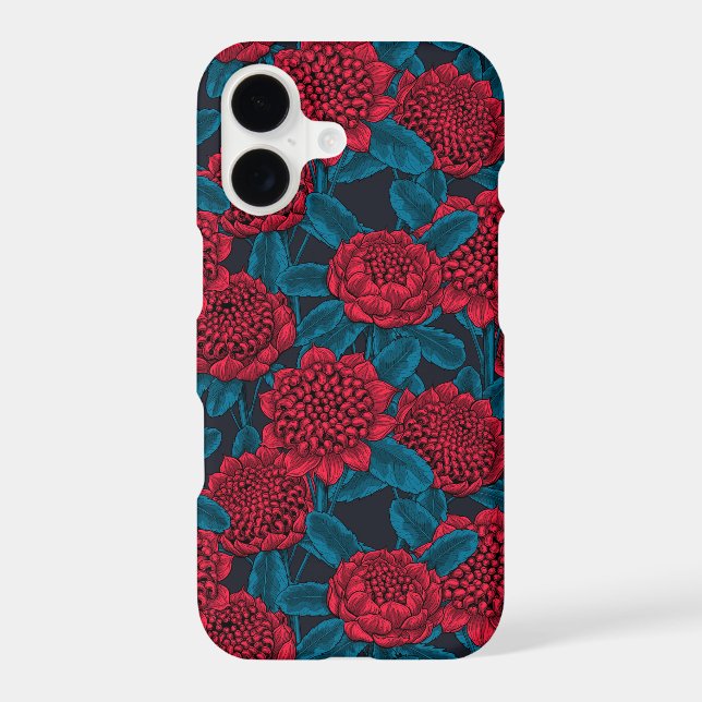 Red waratah flowers (Back)