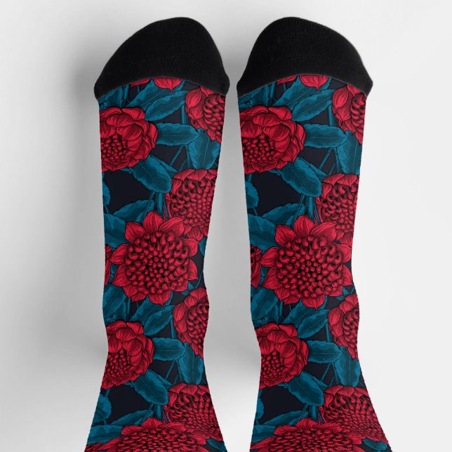 Red waratah flowers socks (Top)