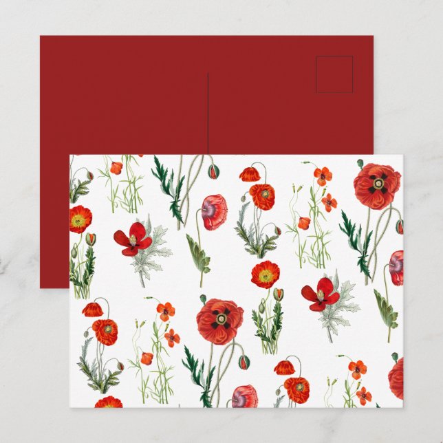 Red Watercolor Poppies Florals Holiday Postcard (Front/Back)