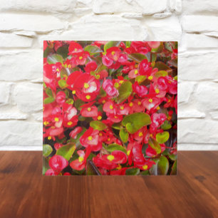 Red Wax Begonias Floral Tile