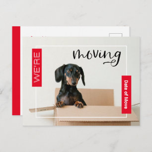 Red We're Moving Dachshund Dog in Box Postcard