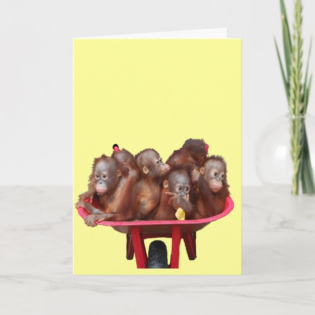 red wheelbarrow orangutans card (Front)
