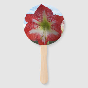 Red & white Amaryllis flower against sky Hand Fan