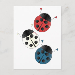 Red White and Blue Ladybugs Postcard