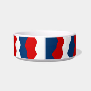 Red, White and Blue Pattern Bowl