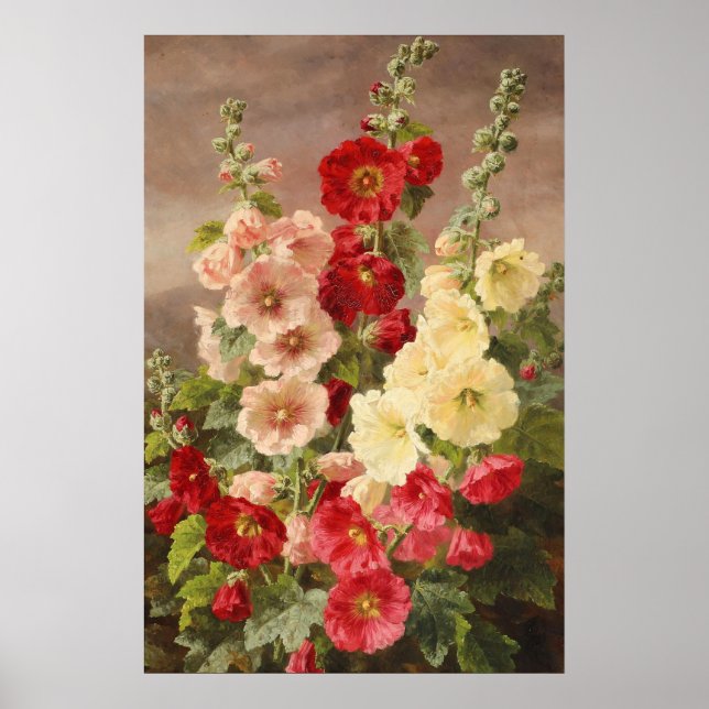 Red, white and pink hollyhocks, Christensen Poster (Front)