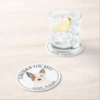 Red & White Australian Cattledog Heeler Wedding