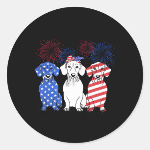 Red White Blue Dachshund Dog Usa Flag Firework 4th Classic Round Sticker