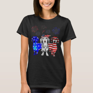 Red White Blue Dachshund USA Flag Firework 4th Of  T-Shirt