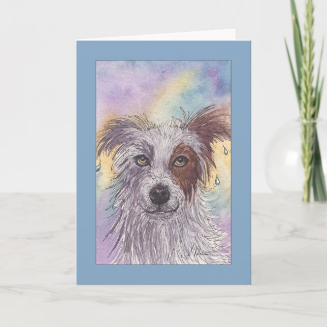 Red & White Border Collie, Dripping Wet, Blank Card (Front)