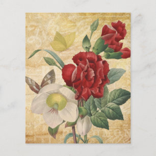 Red & White Hellebores Floral Scrapbook Paper
