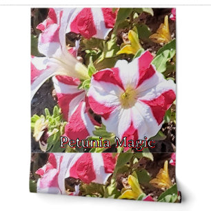 Red & White Petunia Floral Wallpaper – Elegant Nat