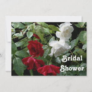 Red White Roses Bridal Wedding Shower Invitation