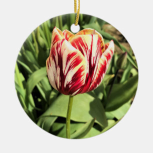 Red & White Tulip Ceramic Tree Decoration