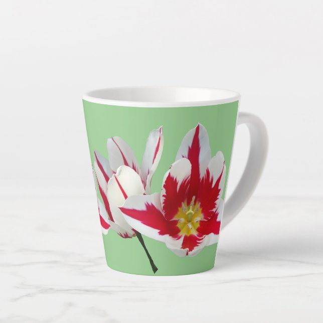 Red White Tulips Close Up Light Green Latte Mug (Right Angle)
