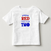Red White & Two 4th of July 2nd Birthday Party