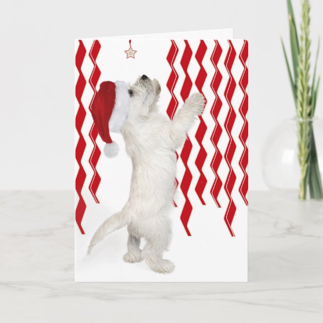 Red, White & Zigzags Westie Pup Christmas Card (Front)