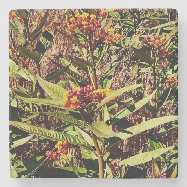 RED WI WILDFLOWER in FALL Stone Coaster (Front)