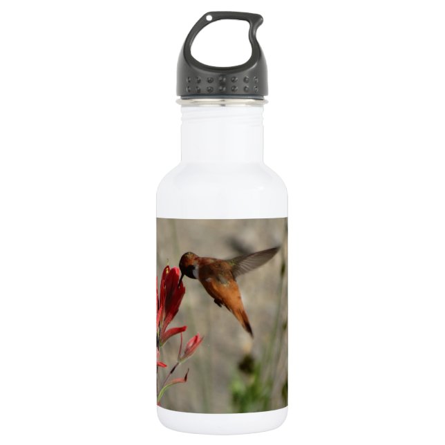 Red wildflower hummingbird 532 ml water bottle (Front)