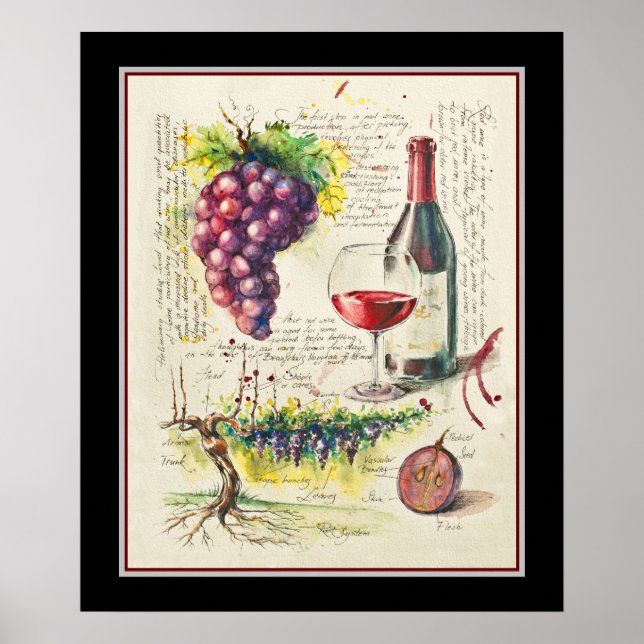 Red Wine  Botanical Poster (Front)