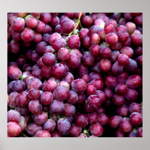 Red Wine Grapes: Luscious Background. Poster