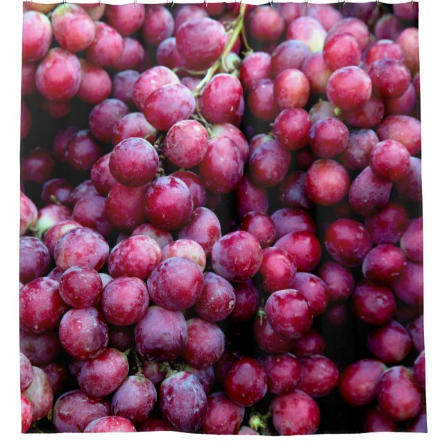 Red wine grapes shower curtain (Front)