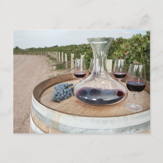 Red Wine In Vineyard Postcard (Front)