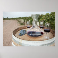 Red Wine In Vineyard