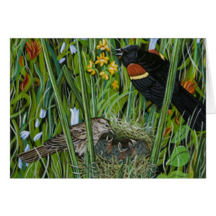 Red Wing Blackbird