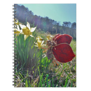red wing fairy and daffodils notebook