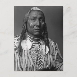 Red Wing (Native American Man) Postcard
