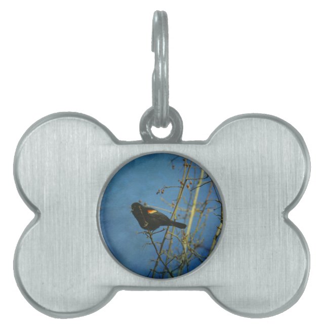 Red-Winged Black Bird singing Pet Name Tag (Front)