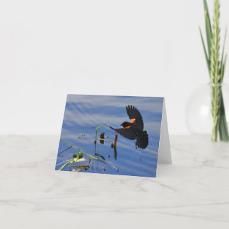 Red-winged Blackbird #1 - Blank Note Card