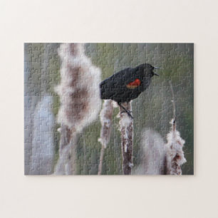 Red-winged Blackbird (Agelaius phoeniceus) Jigsaw Puzzle