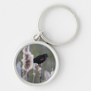 Red-winged Blackbird (Agelaius phoeniceus) Key Ring