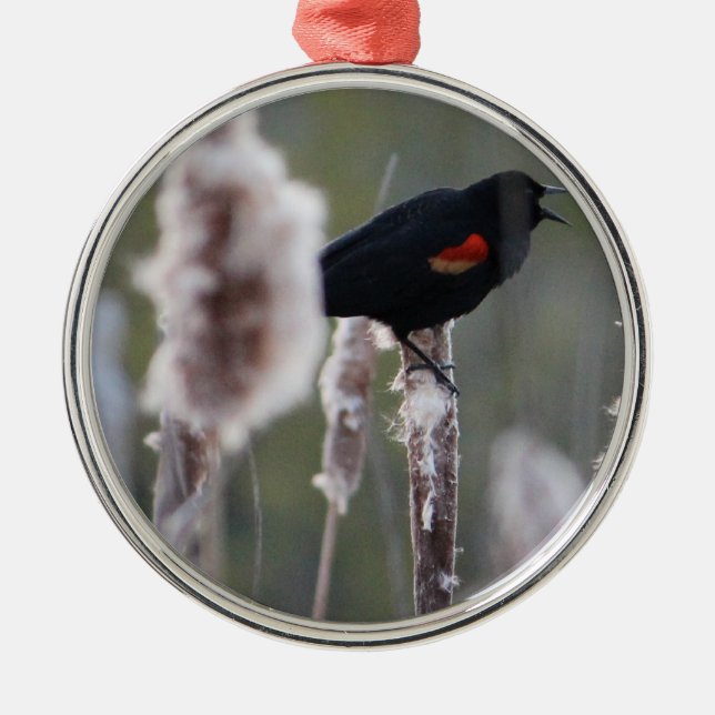 Red-winged Blackbird  (Agelaius phoeniceus) Metal Tree Decoration (Front)