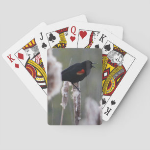 Red-winged Blackbird (Agelaius phoeniceus) Playing Cards