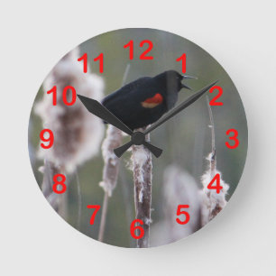 Red-winged Blackbird (Agelaius phoeniceus) Round Clock