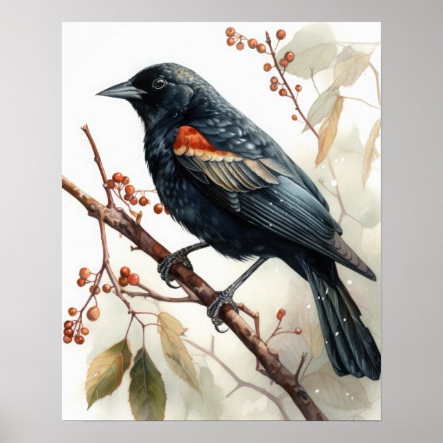 Red Winged Blackbird Bird Art Print Poster (Front)