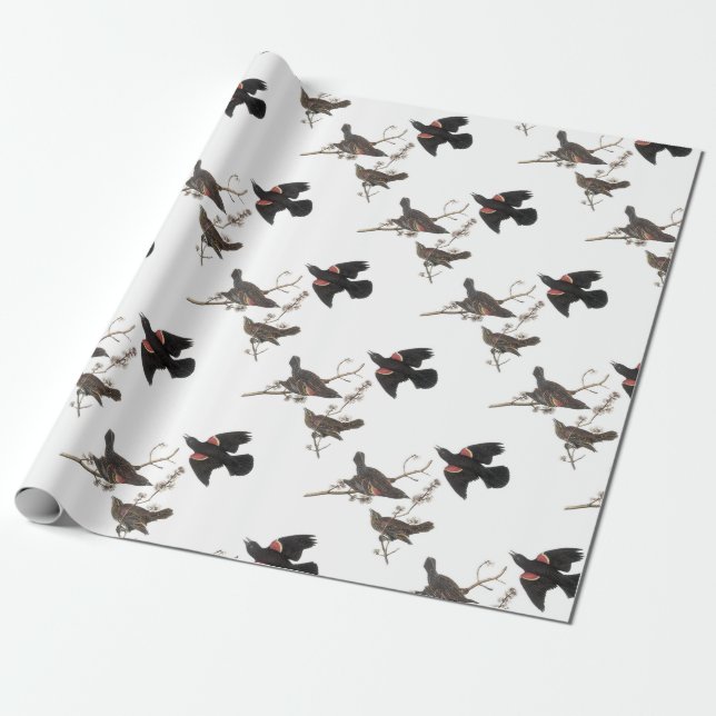 Red-winged Blackbird by Audubon Wrapping Paper (Unrolled)