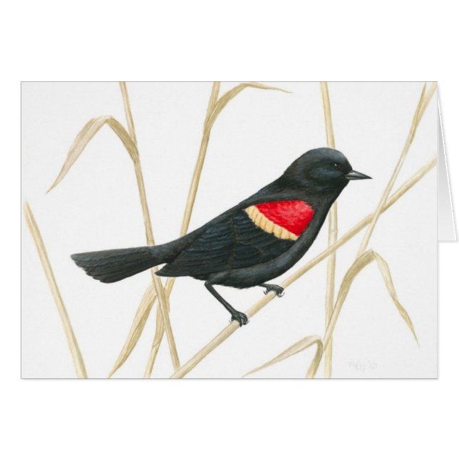 Red-Winged Blackbird Card (Front Horizontal)