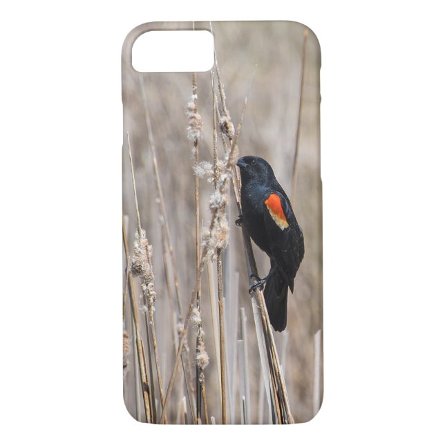 Red Winged Blackbird Case-Mate iPhone Case (Back)