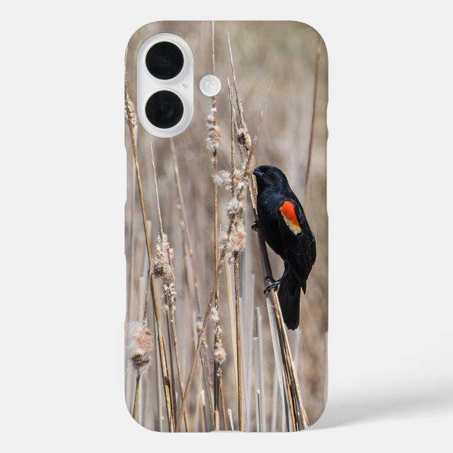 Red-winged Blackbird Case-Mate iPhone Case (Back)