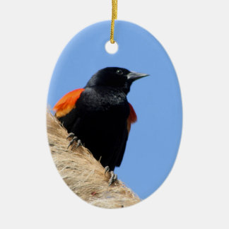 Red-winged Blackbird Ceramic Tree Decoration