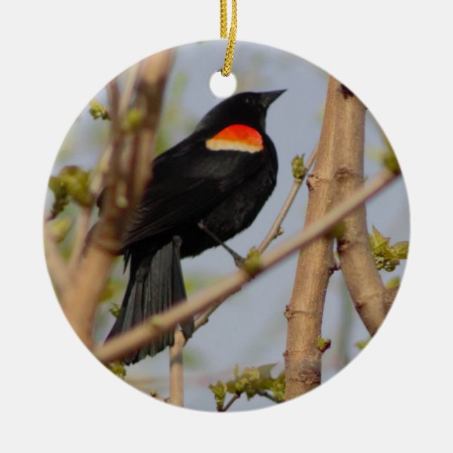 Red-winged Blackbird Ceramic Tree Decoration (Front)