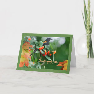 Red Winged Blackbird Greeting Card
